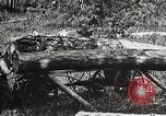 Image of workers load timber United States USA, 1926, second 13 stock footage video 65675023599