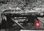 Image of workers load timber United States USA, 1926, second 14 stock footage video 65675023599