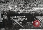Image of workers load timber United States USA, 1926, second 15 stock footage video 65675023599