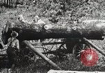 Image of workers load timber United States USA, 1926, second 16 stock footage video 65675023599