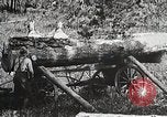 Image of workers load timber United States USA, 1926, second 17 stock footage video 65675023599