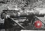 Image of workers load timber United States USA, 1926, second 18 stock footage video 65675023599