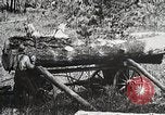 Image of workers load timber United States USA, 1926, second 19 stock footage video 65675023599