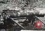 Image of workers load timber United States USA, 1926, second 20 stock footage video 65675023599