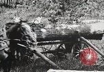 Image of workers load timber United States USA, 1926, second 21 stock footage video 65675023599