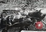 Image of workers load timber United States USA, 1926, second 22 stock footage video 65675023599