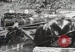 Image of workers load timber United States USA, 1926, second 23 stock footage video 65675023599