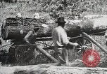 Image of workers load timber United States USA, 1926, second 25 stock footage video 65675023599