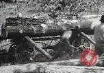 Image of workers load timber United States USA, 1926, second 26 stock footage video 65675023599