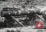 Image of workers load timber United States USA, 1926, second 27 stock footage video 65675023599