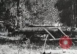Image of workers load timber United States USA, 1926, second 33 stock footage video 65675023599