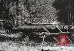 Image of workers load timber United States USA, 1926, second 34 stock footage video 65675023599