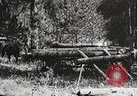 Image of workers load timber United States USA, 1926, second 35 stock footage video 65675023599