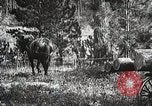 Image of workers load timber United States USA, 1926, second 40 stock footage video 65675023599