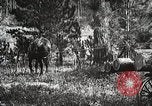 Image of workers load timber United States USA, 1926, second 41 stock footage video 65675023599