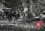 Image of workers load timber United States USA, 1926, second 48 stock footage video 65675023599