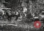 Image of workers load timber United States USA, 1926, second 49 stock footage video 65675023599