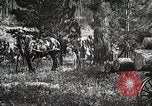 Image of workers load timber United States USA, 1926, second 50 stock footage video 65675023599