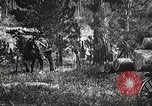 Image of workers load timber United States USA, 1926, second 51 stock footage video 65675023599