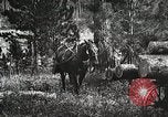 Image of workers load timber United States USA, 1926, second 56 stock footage video 65675023599