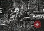 Image of workers load timber United States USA, 1926, second 58 stock footage video 65675023599