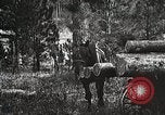 Image of workers load timber United States USA, 1926, second 59 stock footage video 65675023599