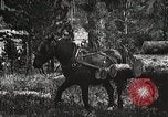 Image of workers load timber United States USA, 1926, second 60 stock footage video 65675023599
