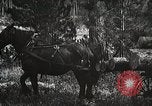 Image of workers load timber United States USA, 1926, second 62 stock footage video 65675023599