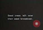 Image of Replanting timber harvest trees United States USA, 1926, second 3 stock footage video 65675023602
