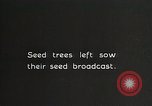 Image of Replanting timber harvest trees United States USA, 1926, second 4 stock footage video 65675023602