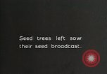 Image of Replanting timber harvest trees United States USA, 1926, second 5 stock footage video 65675023602
