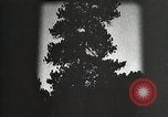 Image of Replanting timber harvest trees United States USA, 1926, second 6 stock footage video 65675023602