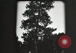 Image of Replanting timber harvest trees United States USA, 1926, second 7 stock footage video 65675023602