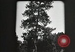 Image of Replanting timber harvest trees United States USA, 1926, second 8 stock footage video 65675023602