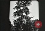 Image of Replanting timber harvest trees United States USA, 1926, second 9 stock footage video 65675023602