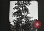 Image of Replanting timber harvest trees United States USA, 1926, second 11 stock footage video 65675023602