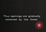 Image of Replanting timber harvest trees United States USA, 1926, second 12 stock footage video 65675023602