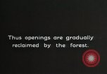 Image of Replanting timber harvest trees United States USA, 1926, second 13 stock footage video 65675023602