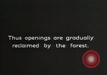 Image of Replanting timber harvest trees United States USA, 1926, second 14 stock footage video 65675023602