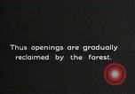 Image of Replanting timber harvest trees United States USA, 1926, second 15 stock footage video 65675023602
