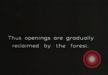 Image of Replanting timber harvest trees United States USA, 1926, second 16 stock footage video 65675023602