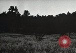 Image of Replanting timber harvest trees United States USA, 1926, second 18 stock footage video 65675023602