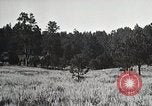 Image of Replanting timber harvest trees United States USA, 1926, second 20 stock footage video 65675023602