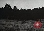 Image of Replanting timber harvest trees United States USA, 1926, second 22 stock footage video 65675023602