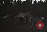 Image of Replanting timber harvest trees United States USA, 1926, second 25 stock footage video 65675023602