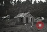 Image of Replanting timber harvest trees United States USA, 1926, second 26 stock footage video 65675023602