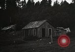 Image of Replanting timber harvest trees United States USA, 1926, second 29 stock footage video 65675023602