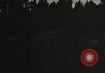 Image of Replanting timber harvest trees United States USA, 1926, second 30 stock footage video 65675023602