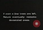 Image of Replanting timber harvest trees United States USA, 1926, second 31 stock footage video 65675023602