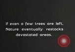 Image of Replanting timber harvest trees United States USA, 1926, second 35 stock footage video 65675023602